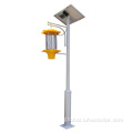 Solar Mosquito Killer Lamp solar light bug zapper Factory